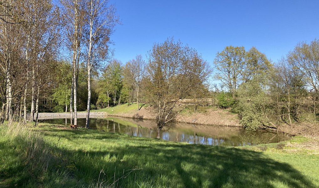 Prodej stavebního pozemku 1 153 m², Rybníček – náhled fotky 11