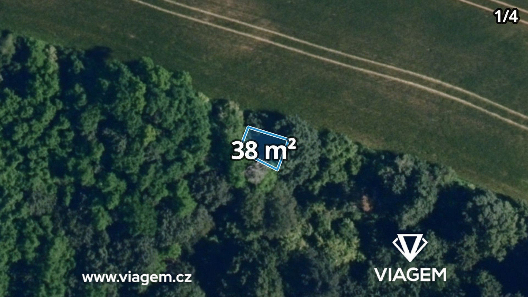 Prodej lesa 4 460 m² – fotografie 3