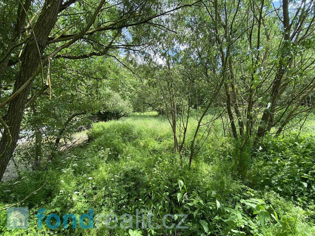Prodej pozemku 3 784 m²