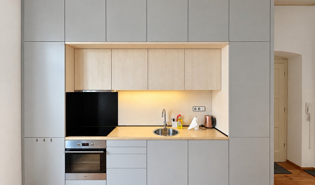 Pronájem bytu 1+kk 42 m², Plzeň – náhled fotky 4