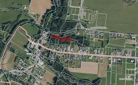 Dražba lesa 2 777 m², Frýdek-Místek