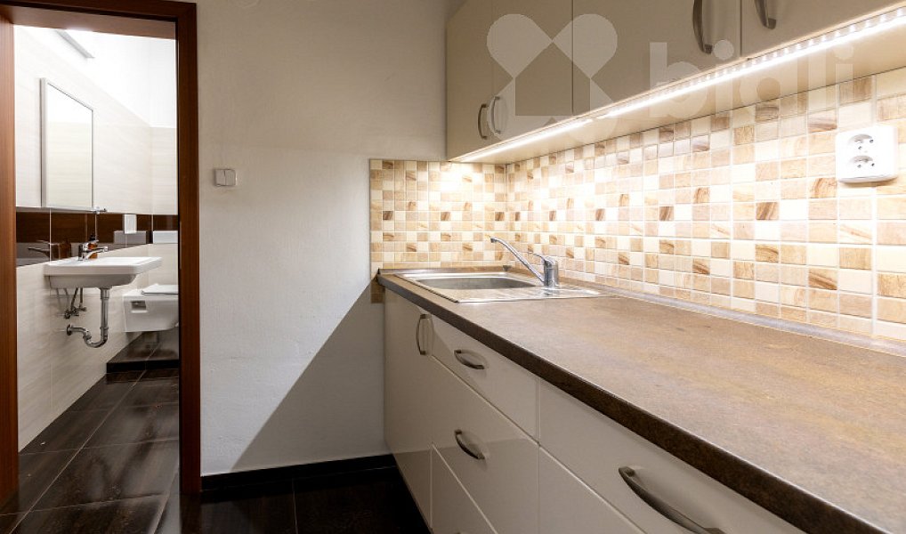 Prodej domu 670 m² s pozemkem 2 597 m², Dolní Kalná – náhled fotky 13
