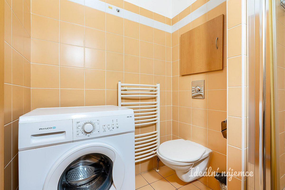 Pronájem bytu 1+kk 32 m² – fotografie 5