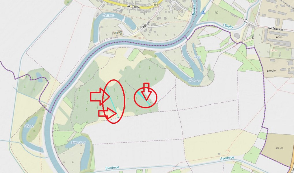 Prodej lesa 2 272 m², Uherský Ostroh – náhled fotky 7