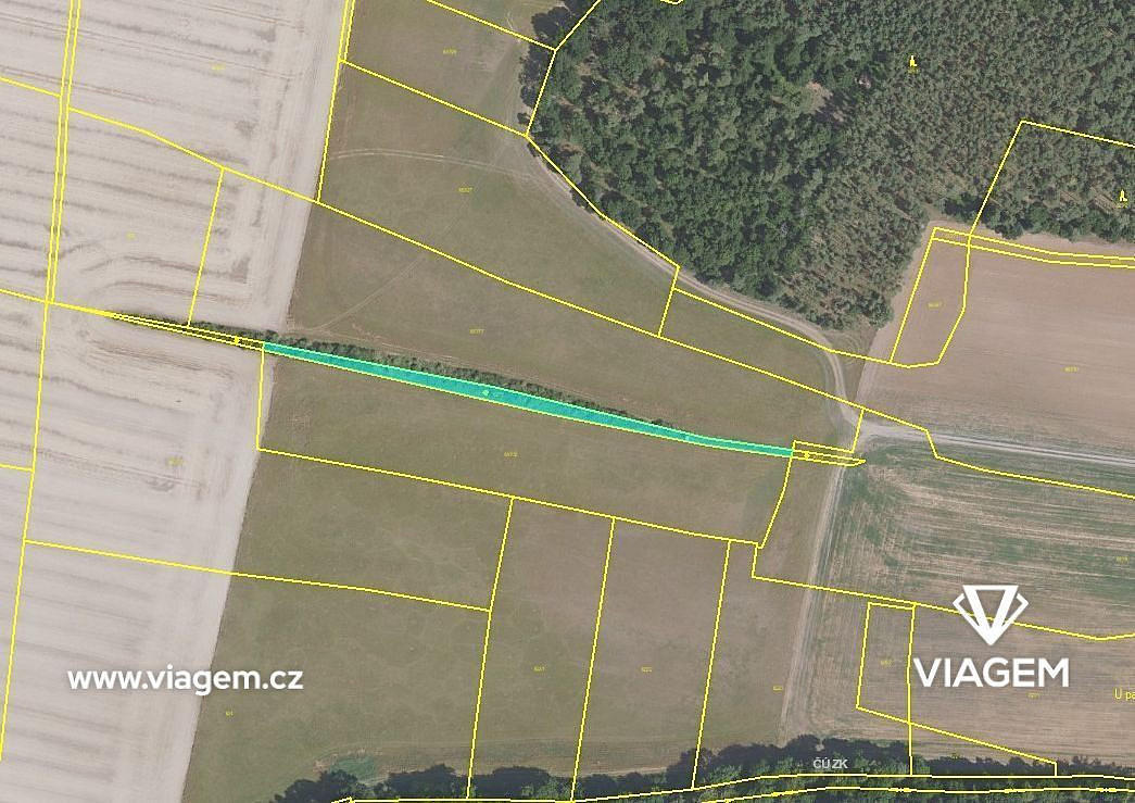 Prodej pole 584 m² – fotografie 3