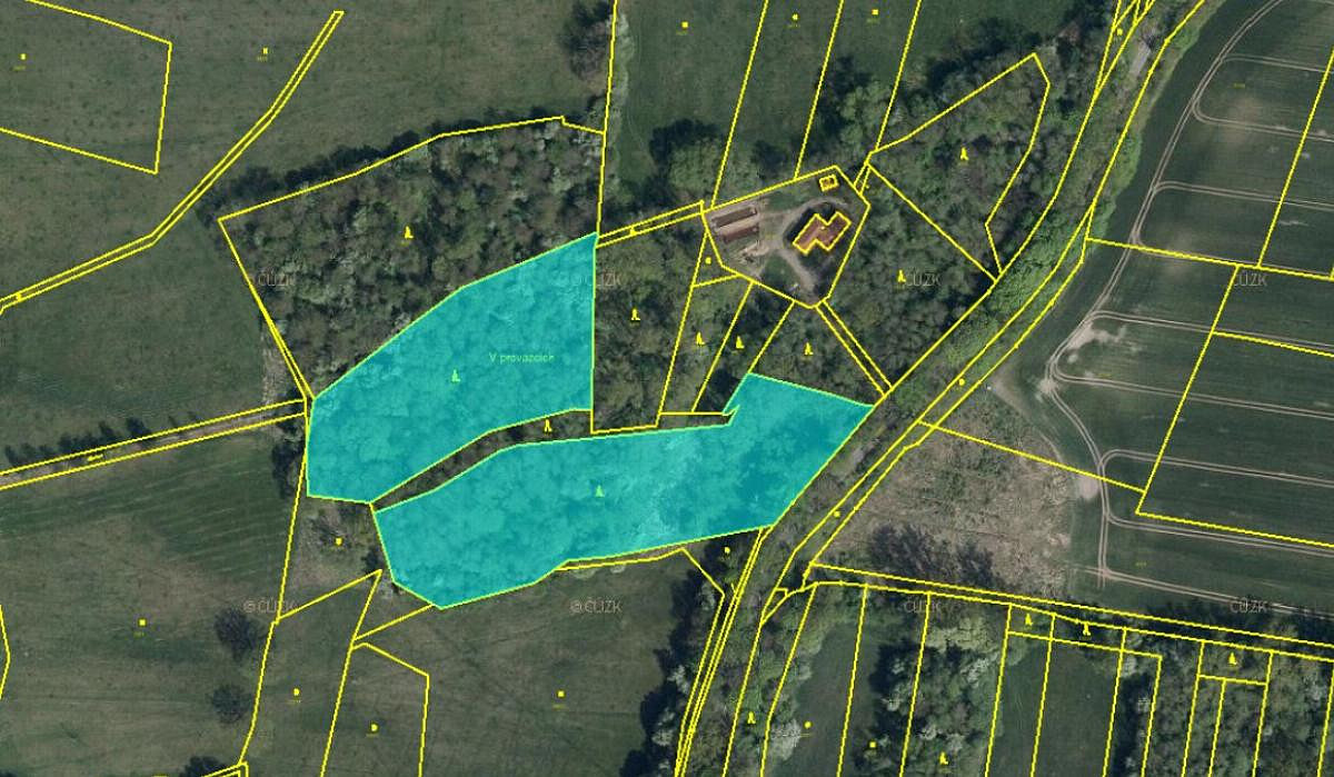 Prodej lesa 19 276 m²