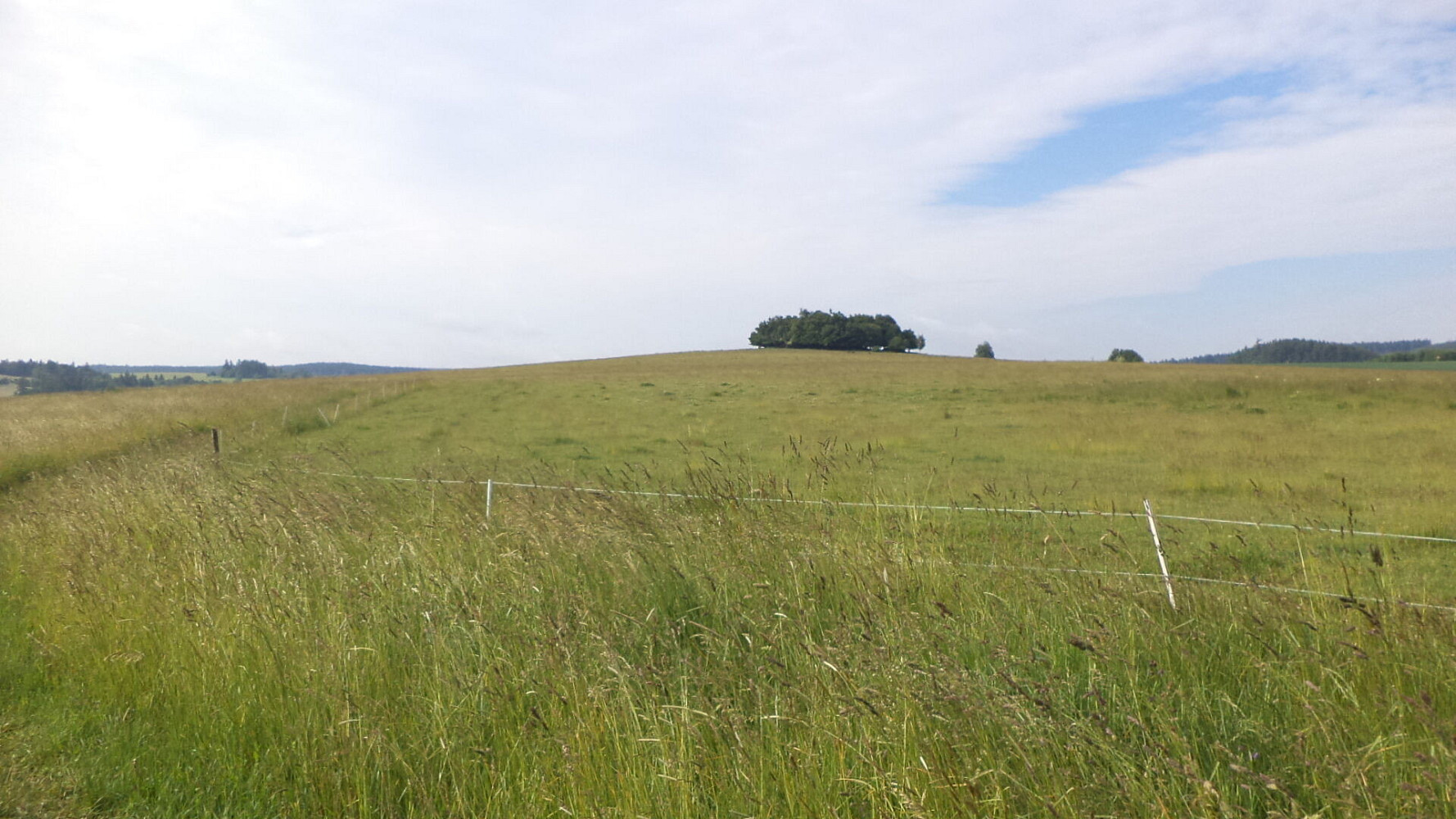 Prodej pozemku 4 031 m²