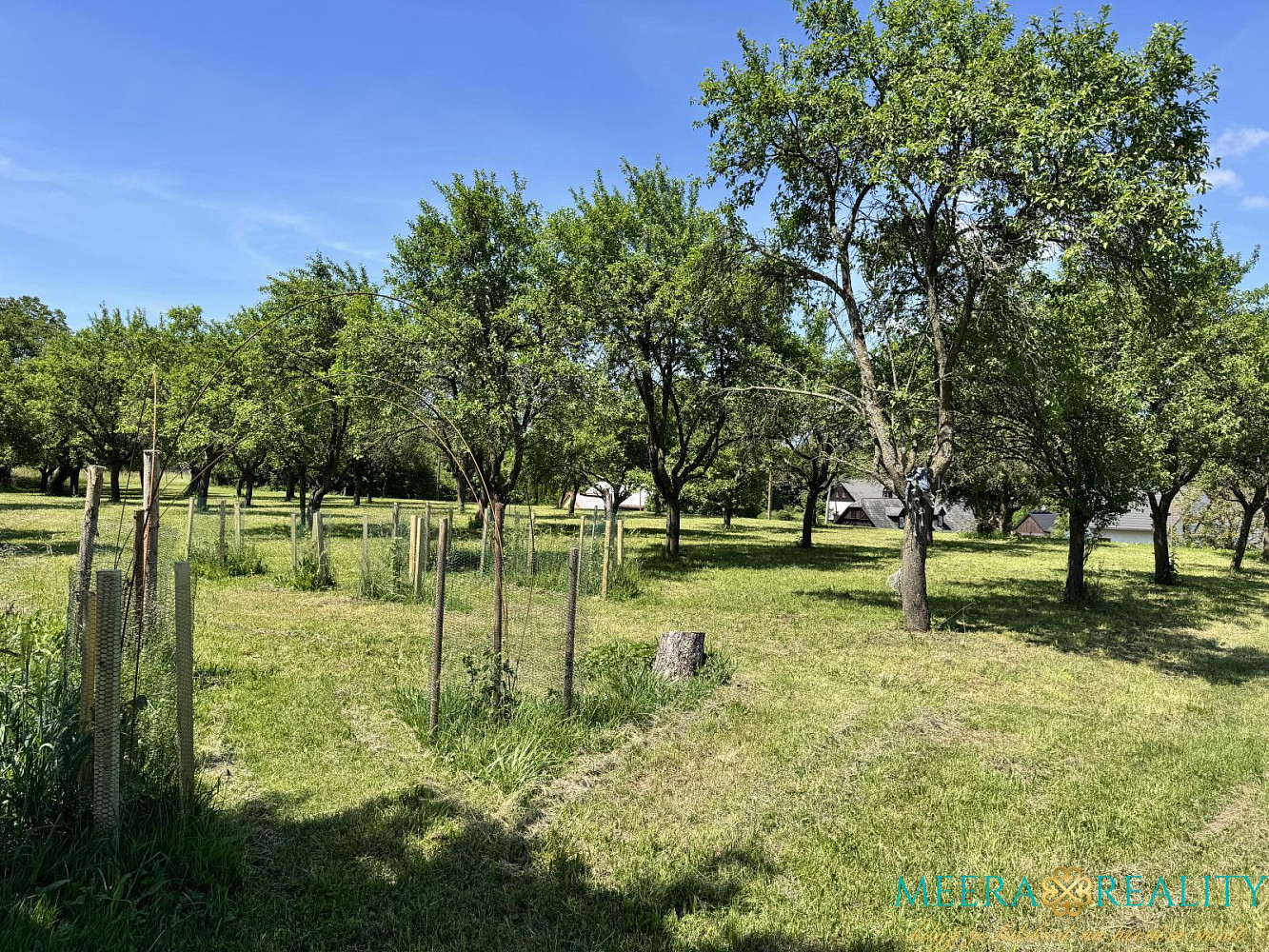 Prodej stavebního pozemku 2980 m², Bílé Poličany, okres Trutnov – pohled 3