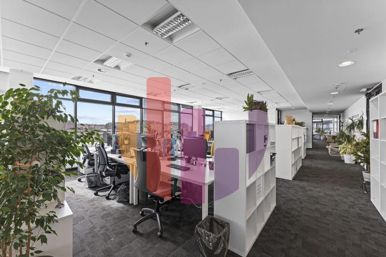 Pronájem kanceláře 436 m² — photo 5