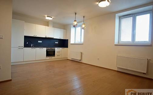 Pronájem bytu 4+kk 83 m², Holická, Olomouc - Hodolany