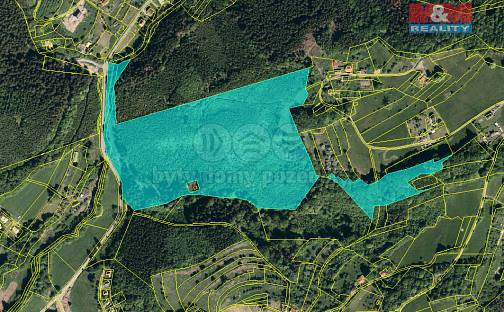 Prodej lesa 50 199 m², Vsetín