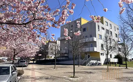 Pronájem bytu 2+kk 45 m²