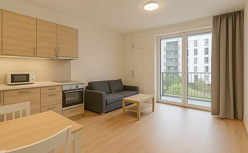 Pronájem bytu 1+kk 35 m², Barvitiova, Praha 5 - Jinonice