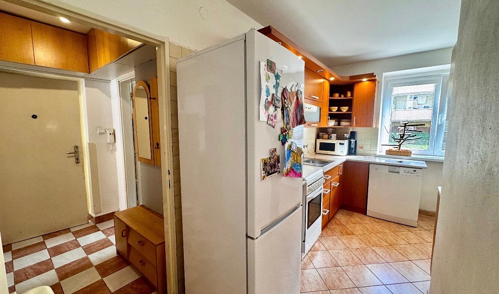 Prodej bytu 2+1 58 m², Blansko – náhled fotky 8