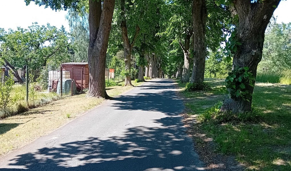 Prodej zahrady 215 m², Bělá pod Bezdězem – náhled fotky 8