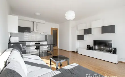 Pronájem bytu 1+kk 42 m²
