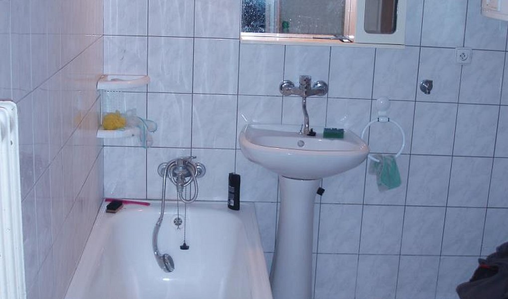 Prodej domu 162 m² s pozemkem 446 m², Vysoké Veselí – náhled fotky 6
