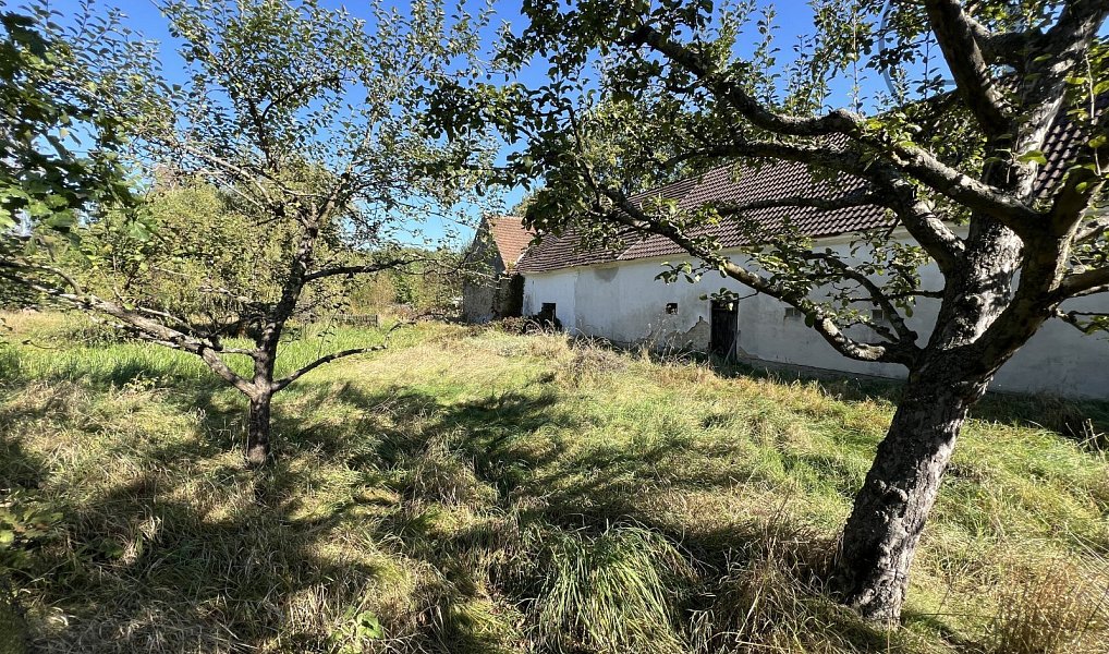 Prodej chaty/chalupy 460 m² s pozemkem 2 427 m², Lišov – náhled fotky 7
