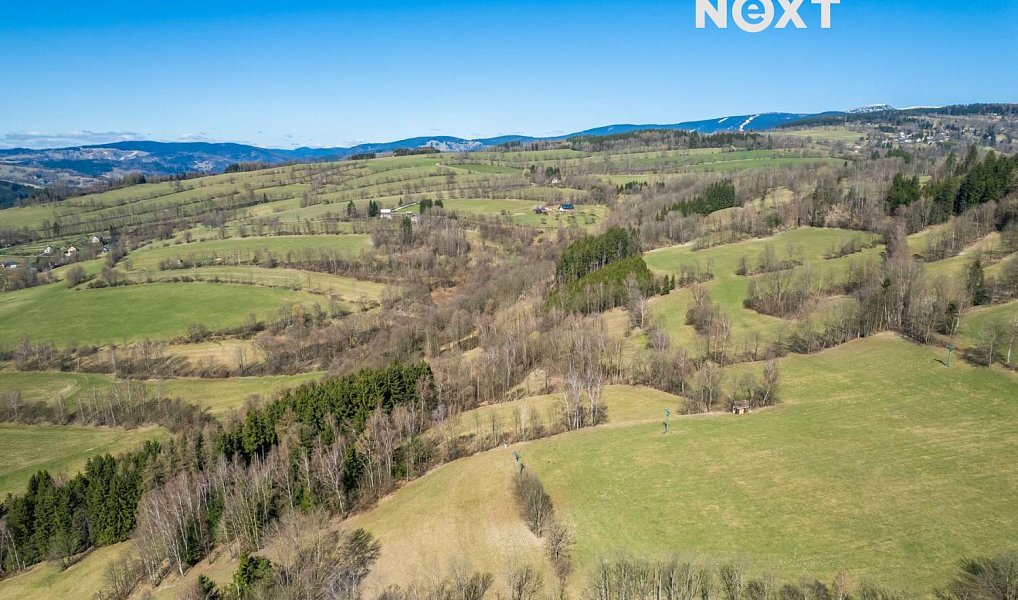Prodej louky 6 913 m², Poniklá – náhled fotky 4