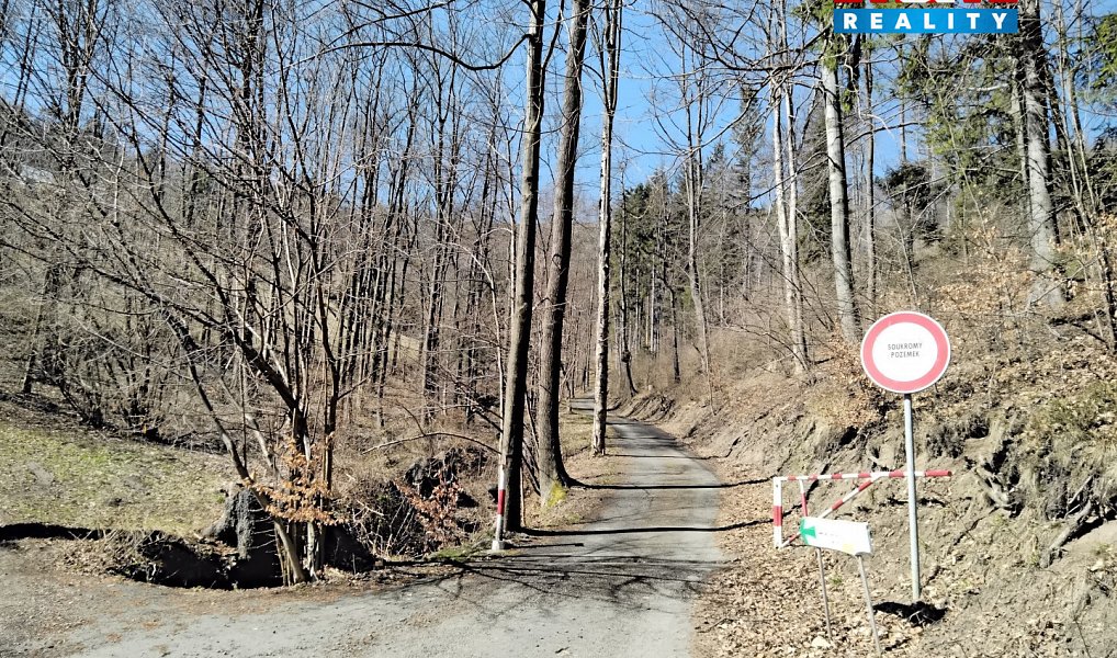 Prodej pozemku 12 588 m², Pstruží – náhled fotky 3