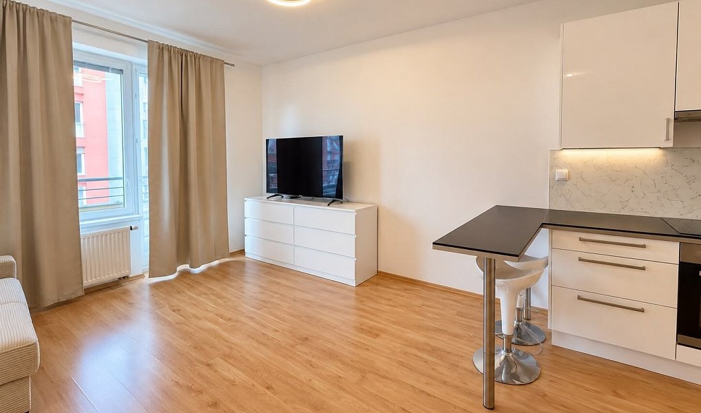 Pronájem bytu 2+kk 63 m², Praha – náhled fotky 10
