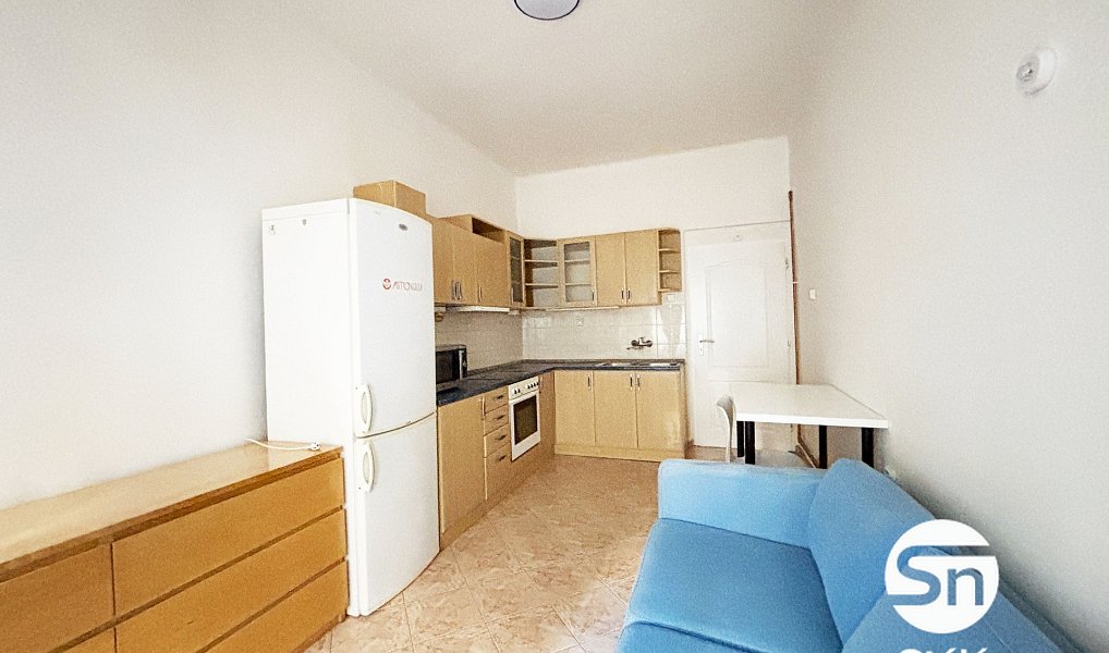 Pronájem bytu 1+1 48 m², Praha – náhled fotky 2