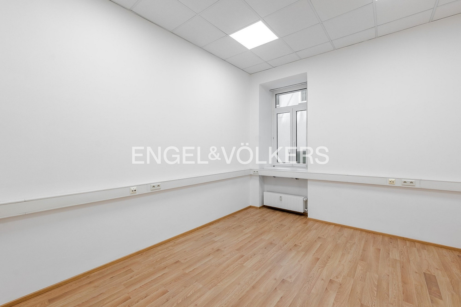 Pronájem kanceláře 146 m² – fotografie 5