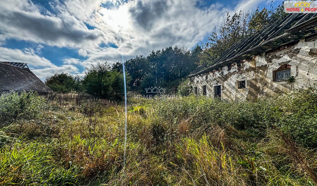 Prodej domu 520 m² s pozemkem 2 757 m², Dešná – náhled fotky 7