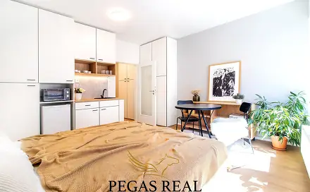 Pronájem bytu 1+kk 28 m², Cejl, Brno - Zábrdovice