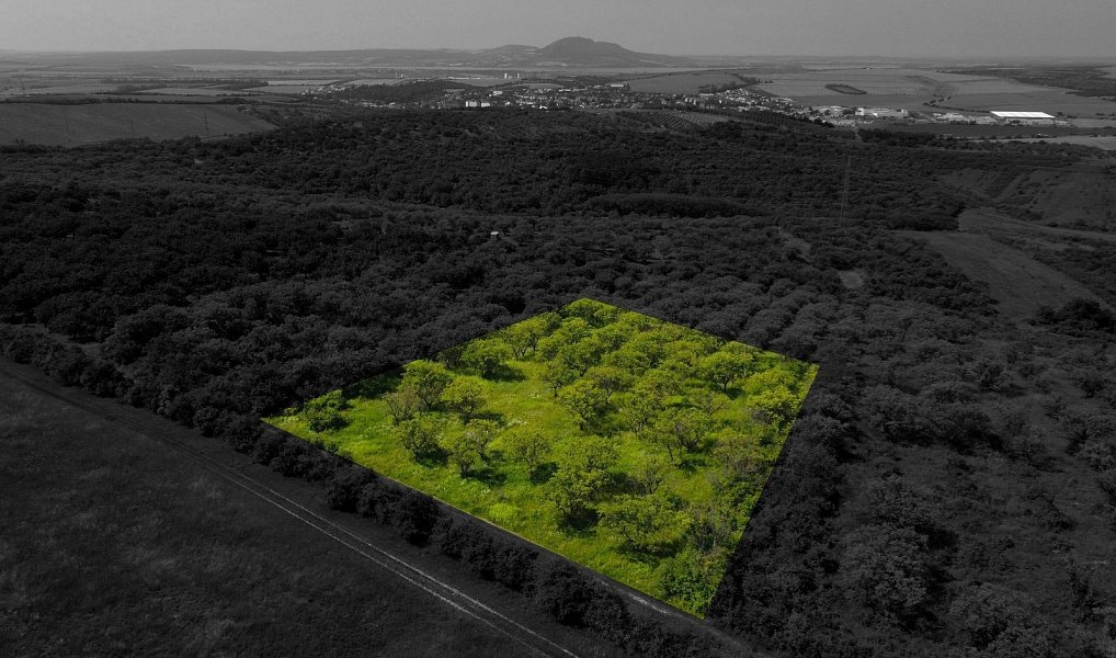 Prodej pozemku 3 780 m², Hustopeče – náhled fotky 2