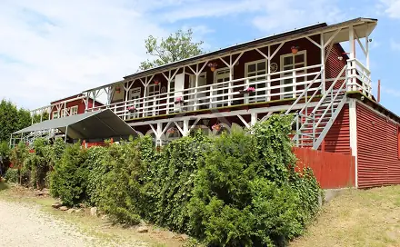 Prodej ubytovacího objektu 1 000 m², Chelčického, Protivín, okres Písek