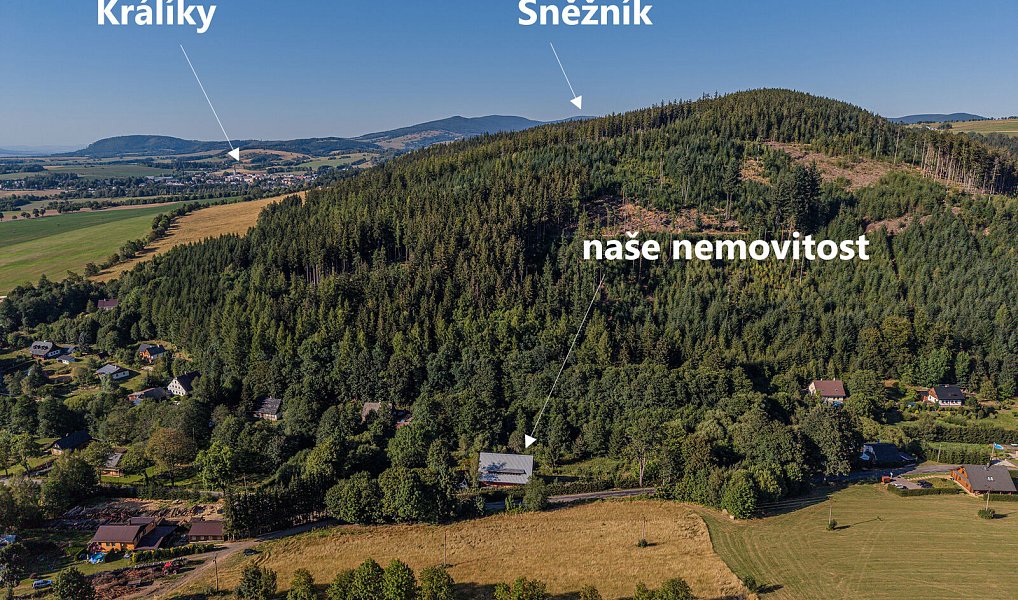 Prodej domu 440 m² s pozemkem 3 345 m², Červená Voda – náhled fotky 16