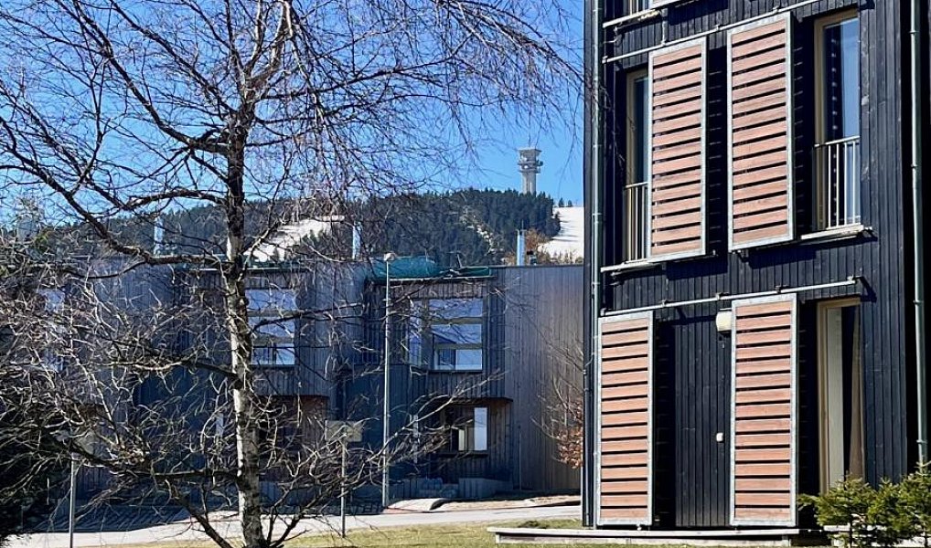 Prodej bytu 3+kk 84 m², Loučná pod Klínovcem – náhled fotky 12