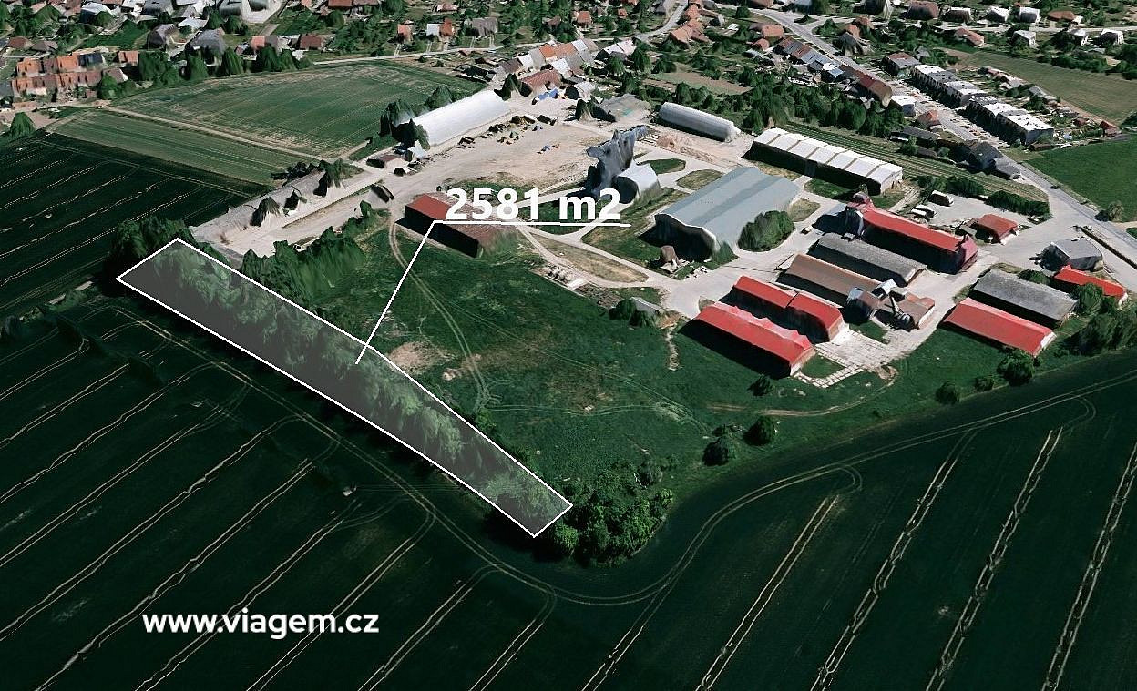 Prodej pole 2 581 m² – fotografie 2