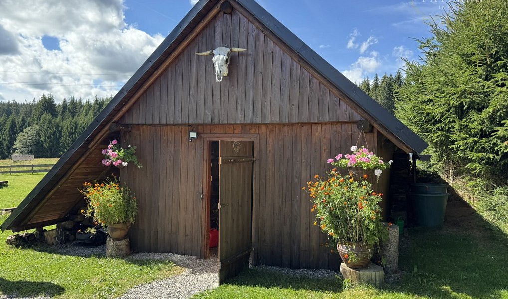 Prodej domu 300 m² s pozemkem 5 000 m², Nové Hutě – náhled fotky 28