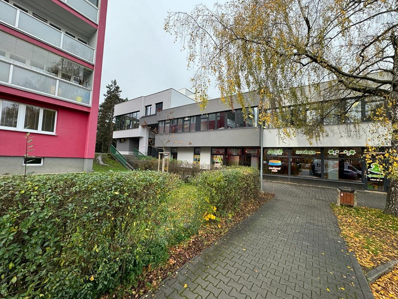 Pronájem obchodních prostor 263 m² – fotografie 2