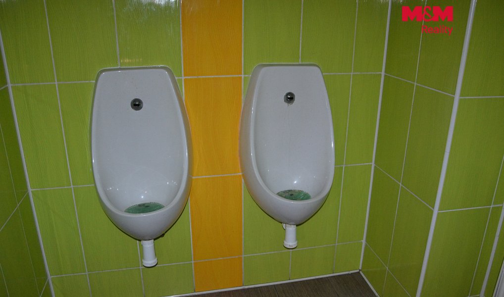Prodej obchodních prostor 239 m², Červený Kostelec – náhled fotky 15