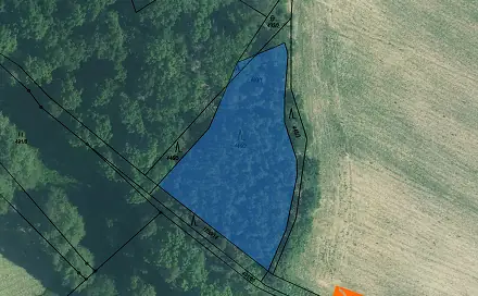 Prodej lesa 2 059 m², Líšťany, okres Plzeň-sever