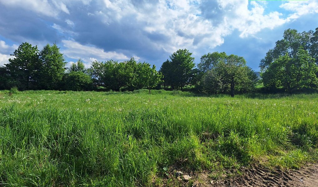 Prodej stavebního pozemku 2 975 m², Dražovice – náhled fotky 8