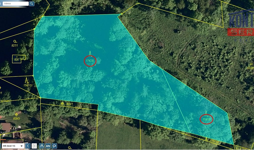 Prodej lesa 7 376 m², Hodslavice – náhled fotky 2