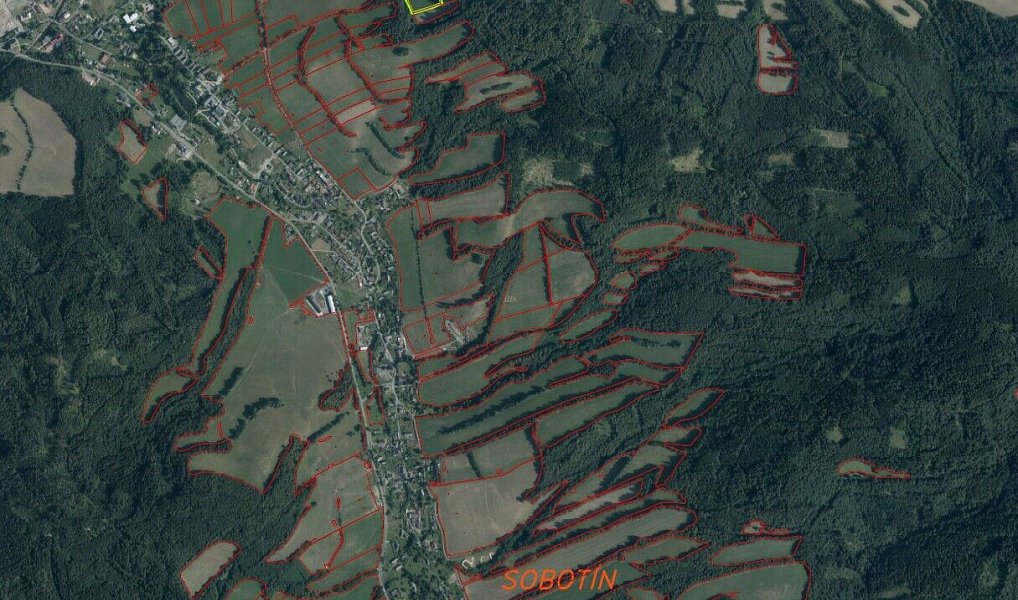 Prodej pozemku 10 593 m², Sobotín – náhled fotky 6