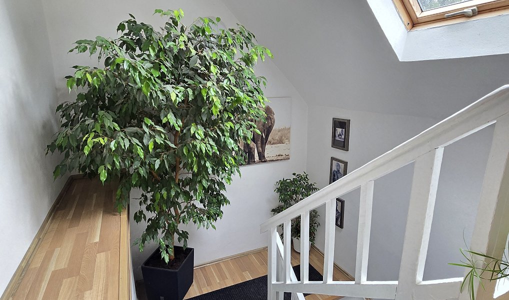 Prodej domu 180 m² s pozemkem 444 m², Milotice nad Opavou – náhled fotky 12