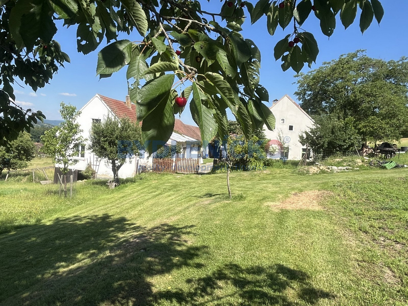 Prodej chaty/chalupy 1 123 m² s pozemkem 2 018 m² – fotografie 3