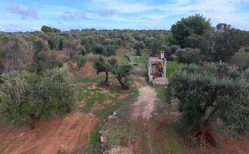 Prodej stavebního pozemku 10 050 m², Mandurie, Apulie, Itálie