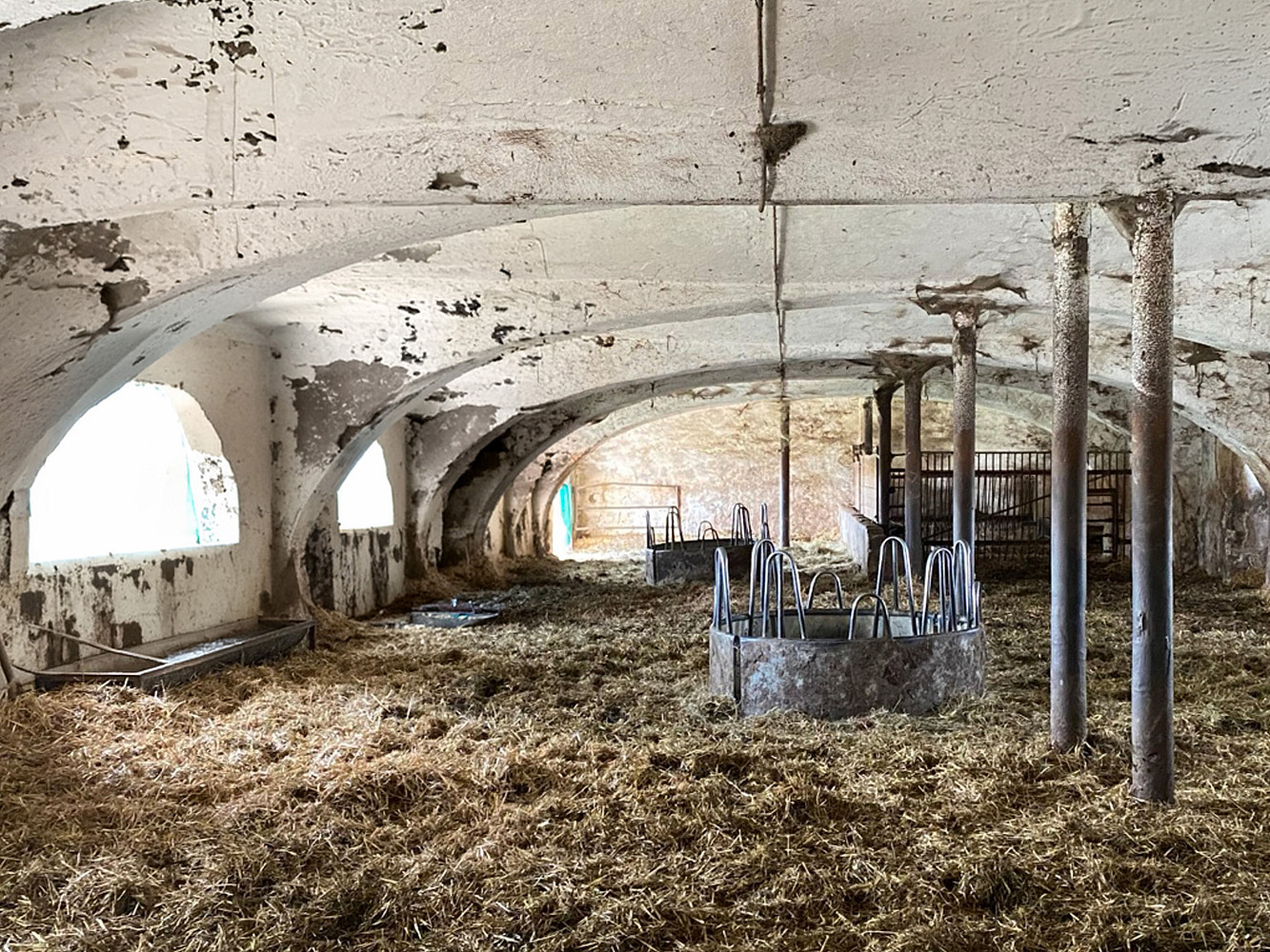 Fotka 9 z 16