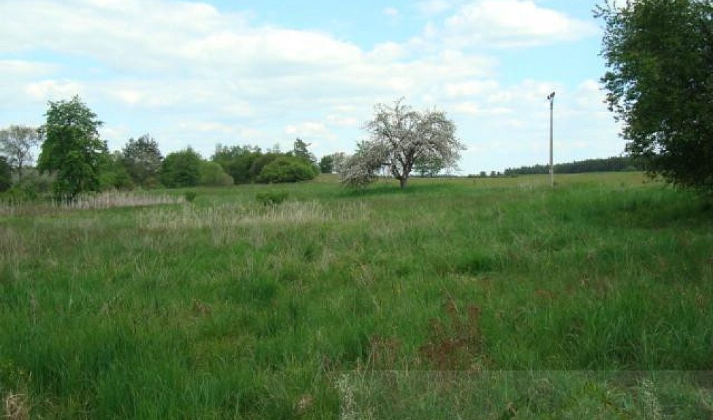 Prodej stavebního pozemku 2 352 m², Čistá – náhled fotky 4