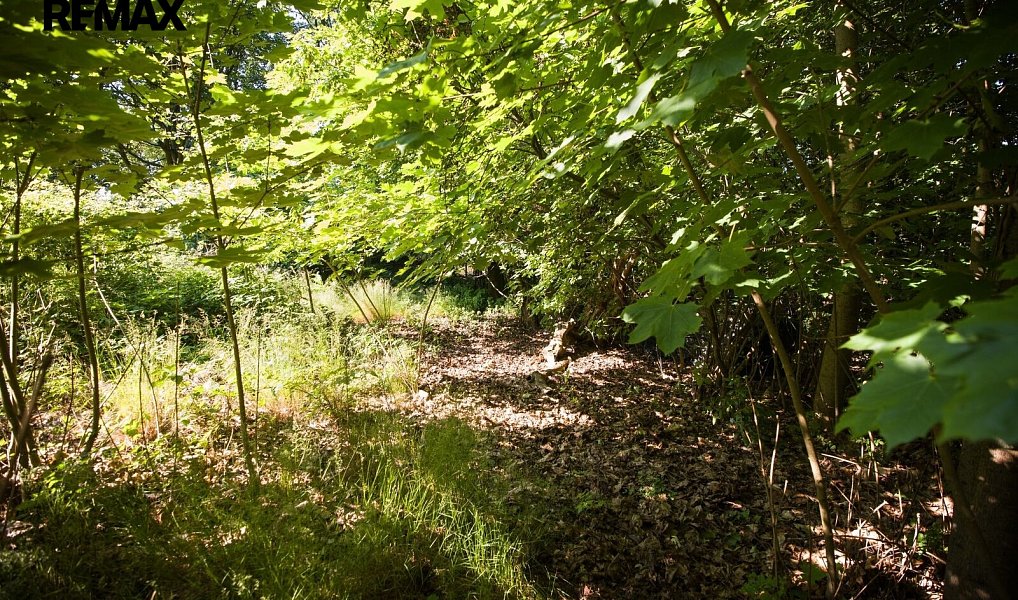 Prodej stavebního pozemku 1 419 m², Příbram – náhled fotky 5