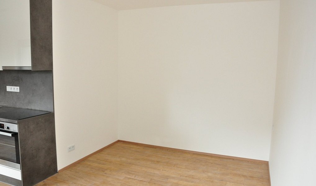 Pronájem bytu 1+kk 29 m², Liberec – náhled fotky 4