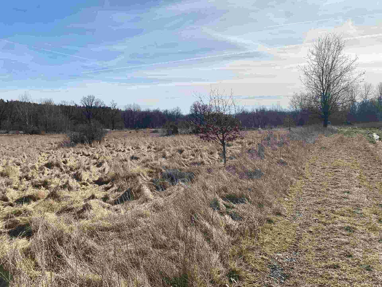 Prodej pole 15 408 m² – fotografie 2