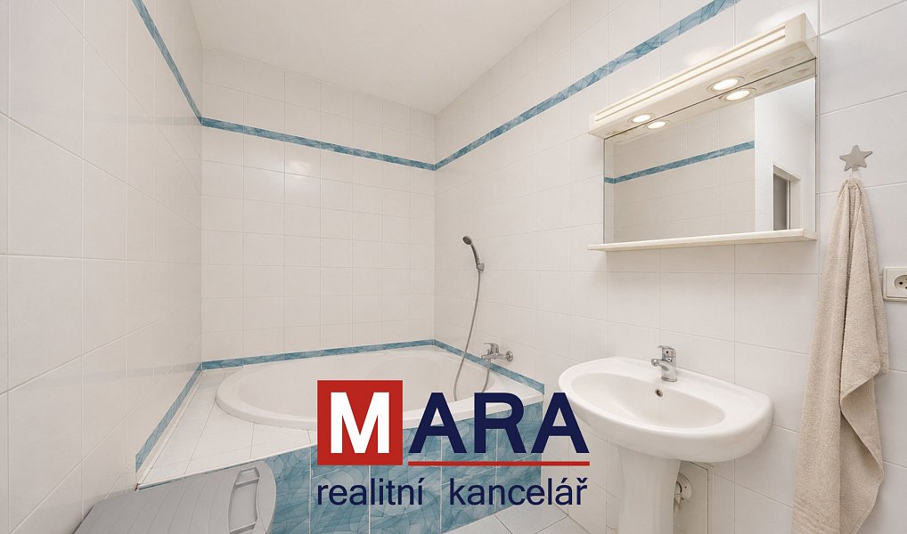 Prodej domu 739 m² s pozemkem 1 095 m², Tovačov – náhled fotky 22